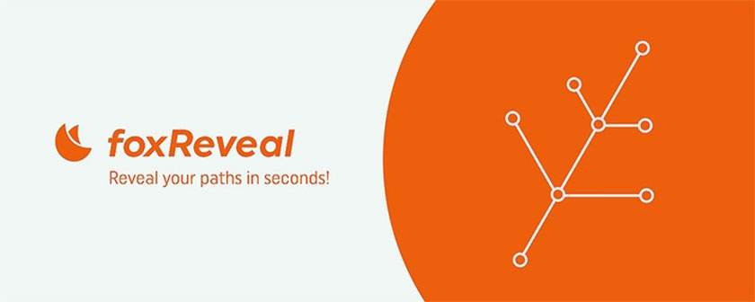 دانلود اسکریپت foxReveal برای افتر افکت