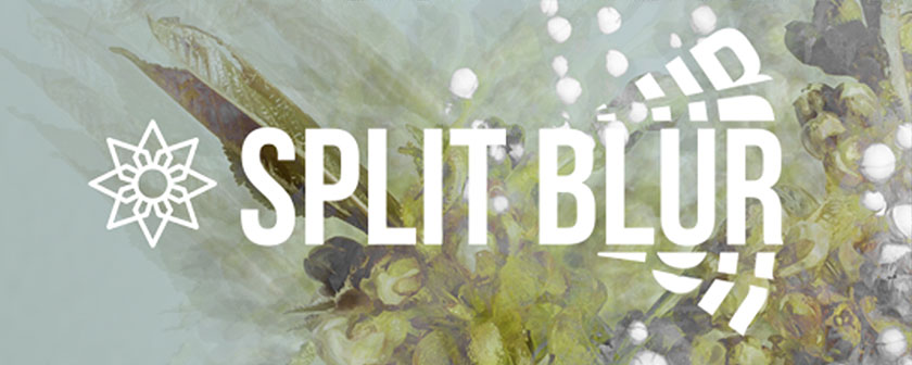 دانلود پلاگین Split Blur برای افتر افکت