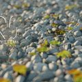 دانلود پلاگین QTilePro برای نرم افزار Cinema 4d