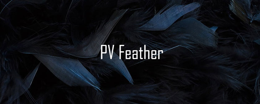 دانلود پلاگین PV Feather برای افتر افکت