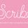 دانلود اسکریپت Scribe در افتر افکت