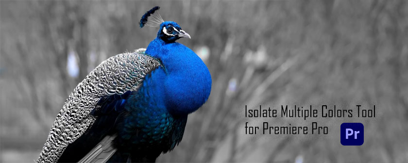 دانلود پریست Isolate Multiple Colors Tool برای پریمیر پرو