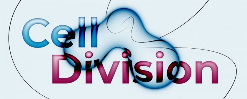 دانلود و آموزش نصب و کرک Cell Division