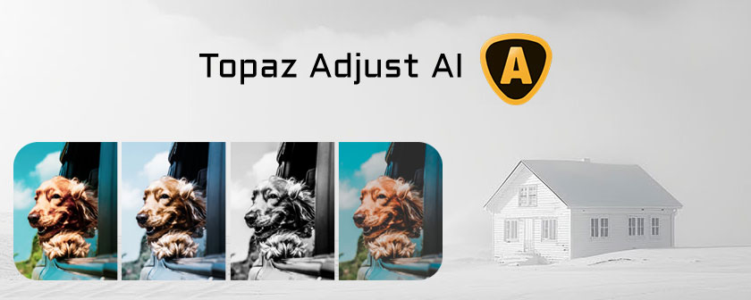 دانلود نرم افزار هوش مصنوعی تنظیم رنگ و نور Topaz Adjust AI