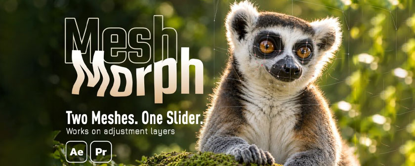 دانلود پلاگین MeshMorph آخرین آپدیت همراه با کرک